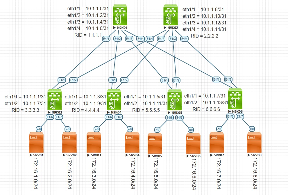 OSPF Leaf-and-Spine Topology
