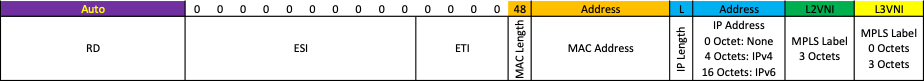 BGP EVPN Type 2 Route - MAC/IP Advertisement Route